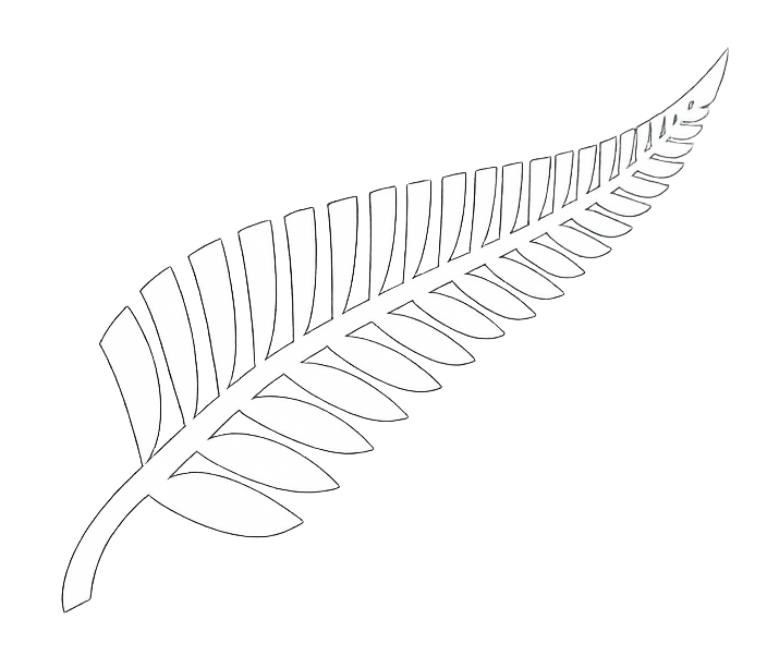 New Zealand silver fern