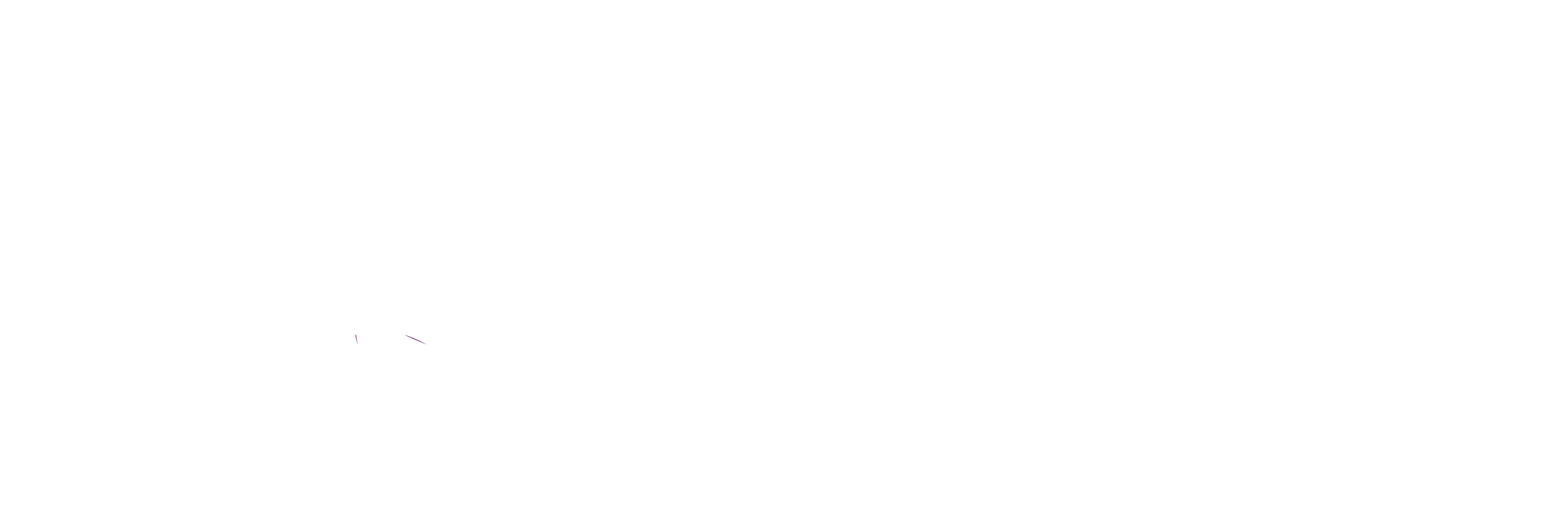 Beauty Bree Beauty Bree Logo White