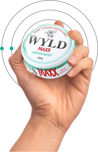 WYLD Container New2