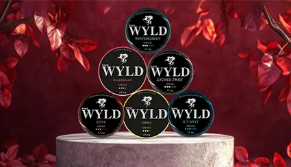 WYLD Starter2